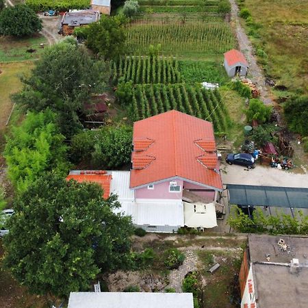 Apartman Balsa Kotor Luaran gambar