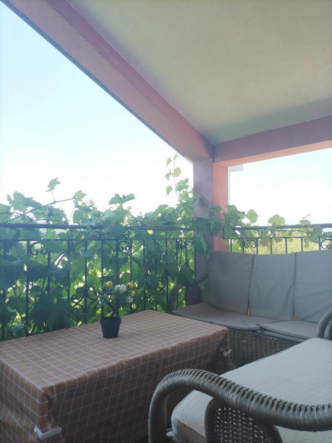 Apartman Balsa Kotor Luaran gambar